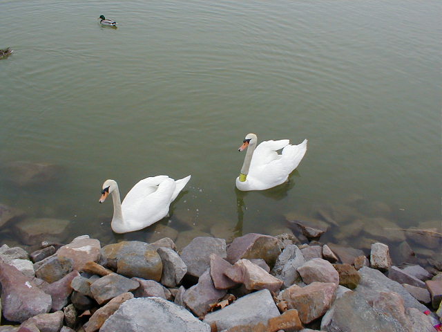 p3020002.jpg