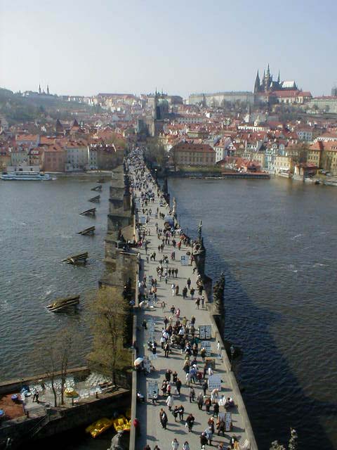 p4030205.jpg