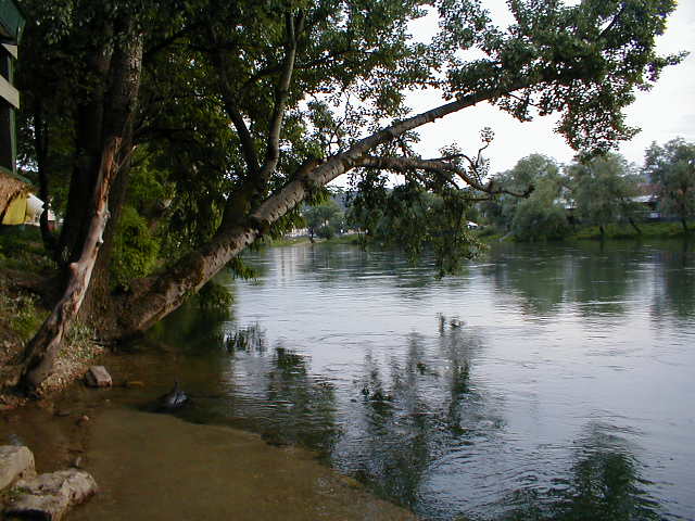 p6020034.jpg